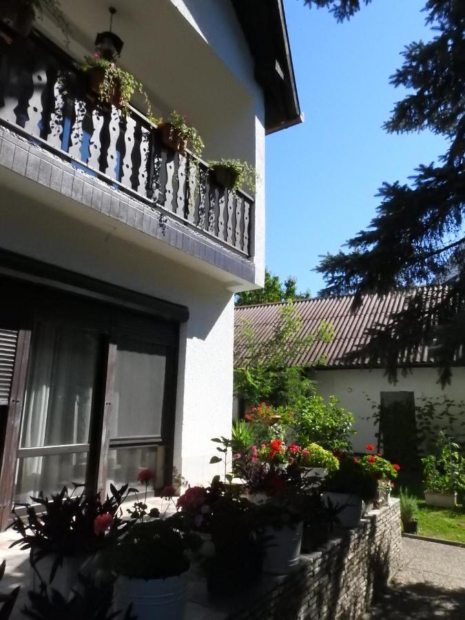 Haus Gizella Hotel Harkány Buitenkant foto