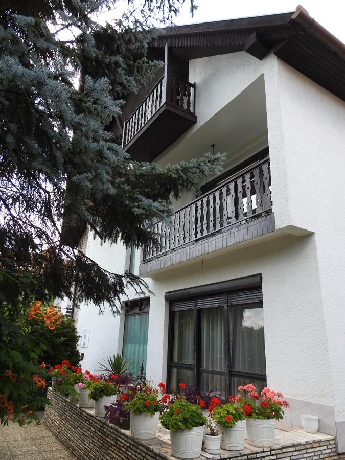 Haus Gizella Hotel Harkány Buitenkant foto